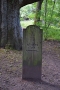 03_08_18_Dunkeld Birnam Oak (10)