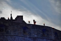 04_08_2018_Edinburgh Military Tattoo 2018 (80)